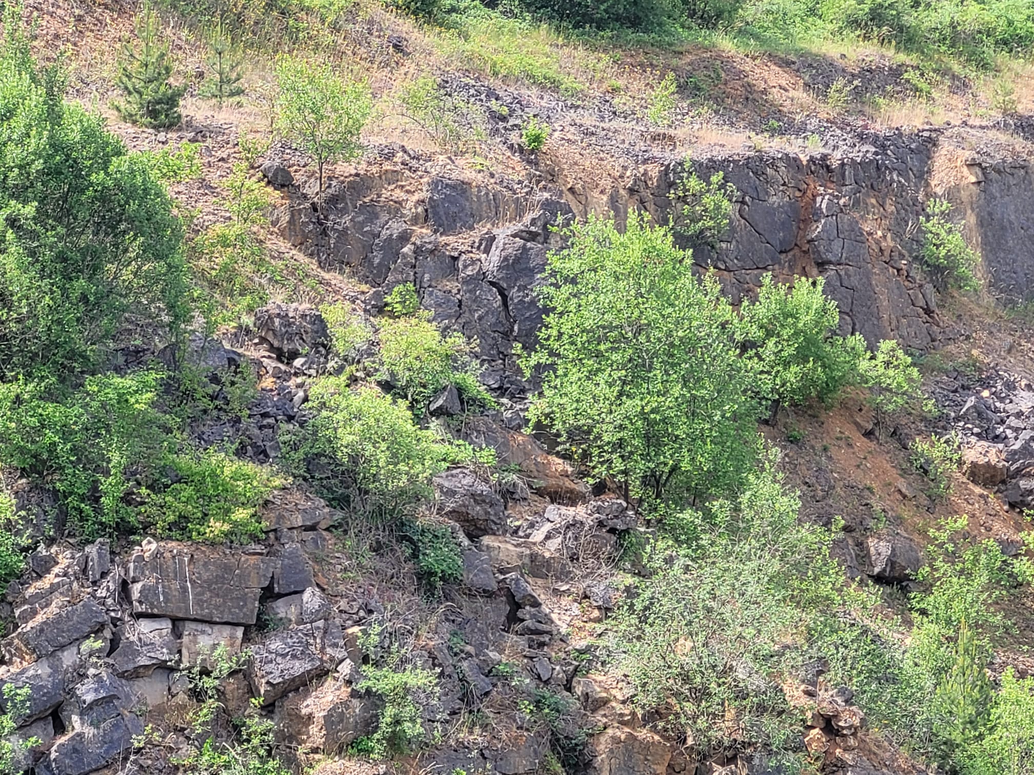 Les carrières du fond des vaulx