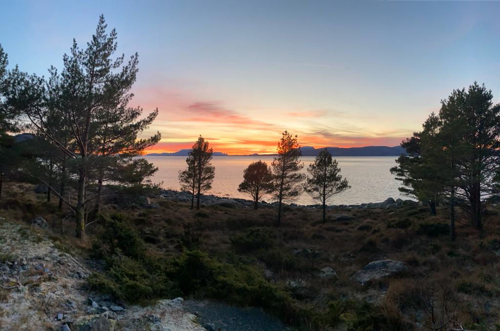 biodiversity in the quarry of DC Seljestokken